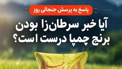سواد رسانه ای و توضیحی درباره یک خبر جنجالی/ویدیو 3 سواد رسانه ای و توضیحی درباره یک خبر جنجالی/ویدیو